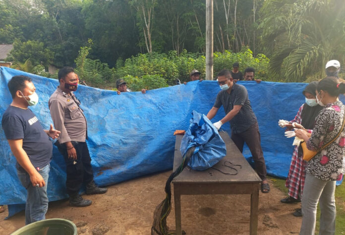 Personel Polsek Dente Teladas mendampingi petugas medis melakukan VER terhadap mayat kakek yang ditemukan mengapung di Rawa yang ada di Kampung Sungai Nibung